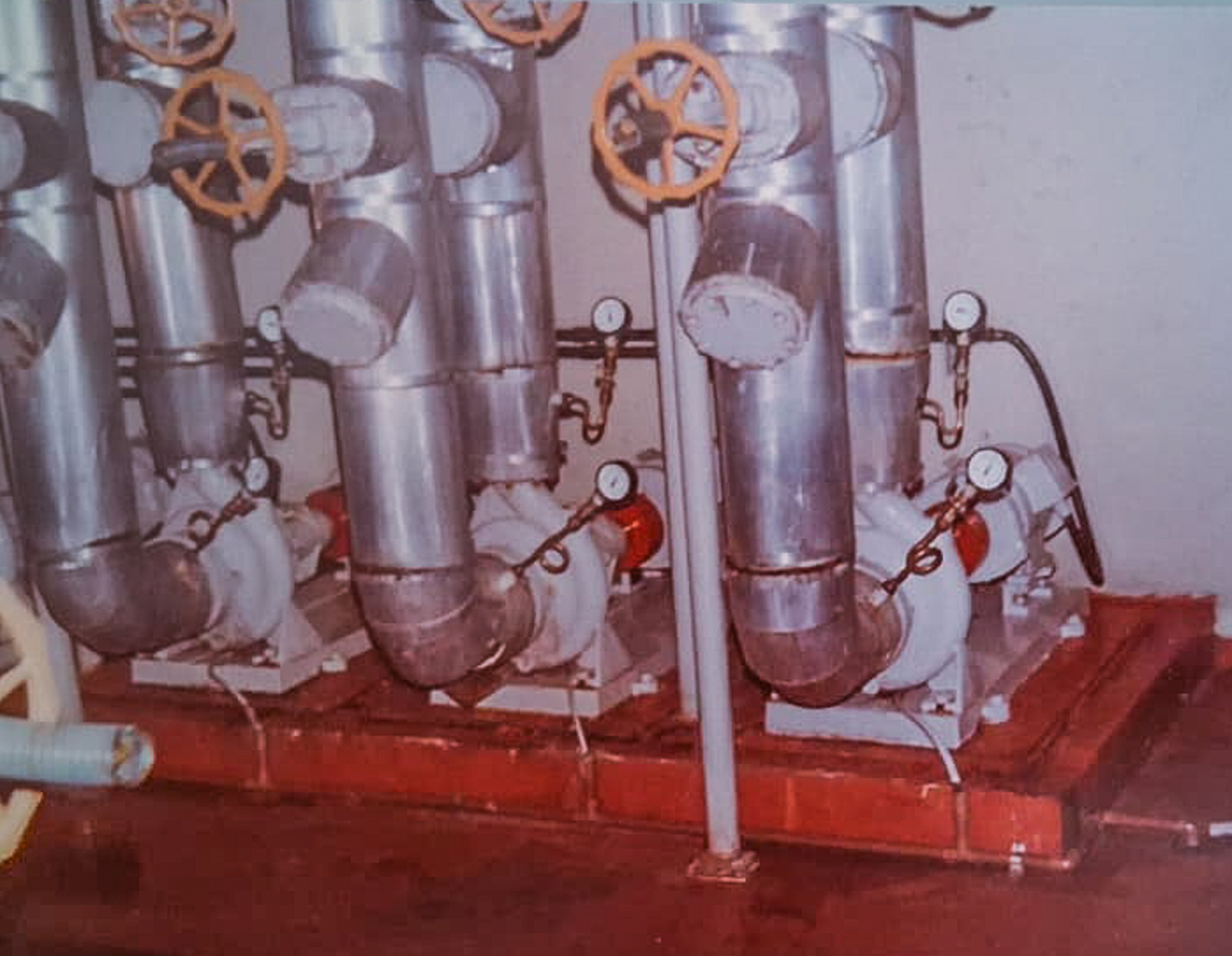 WhatsApp Image 2025-04-25 at 15.24.13.jpg