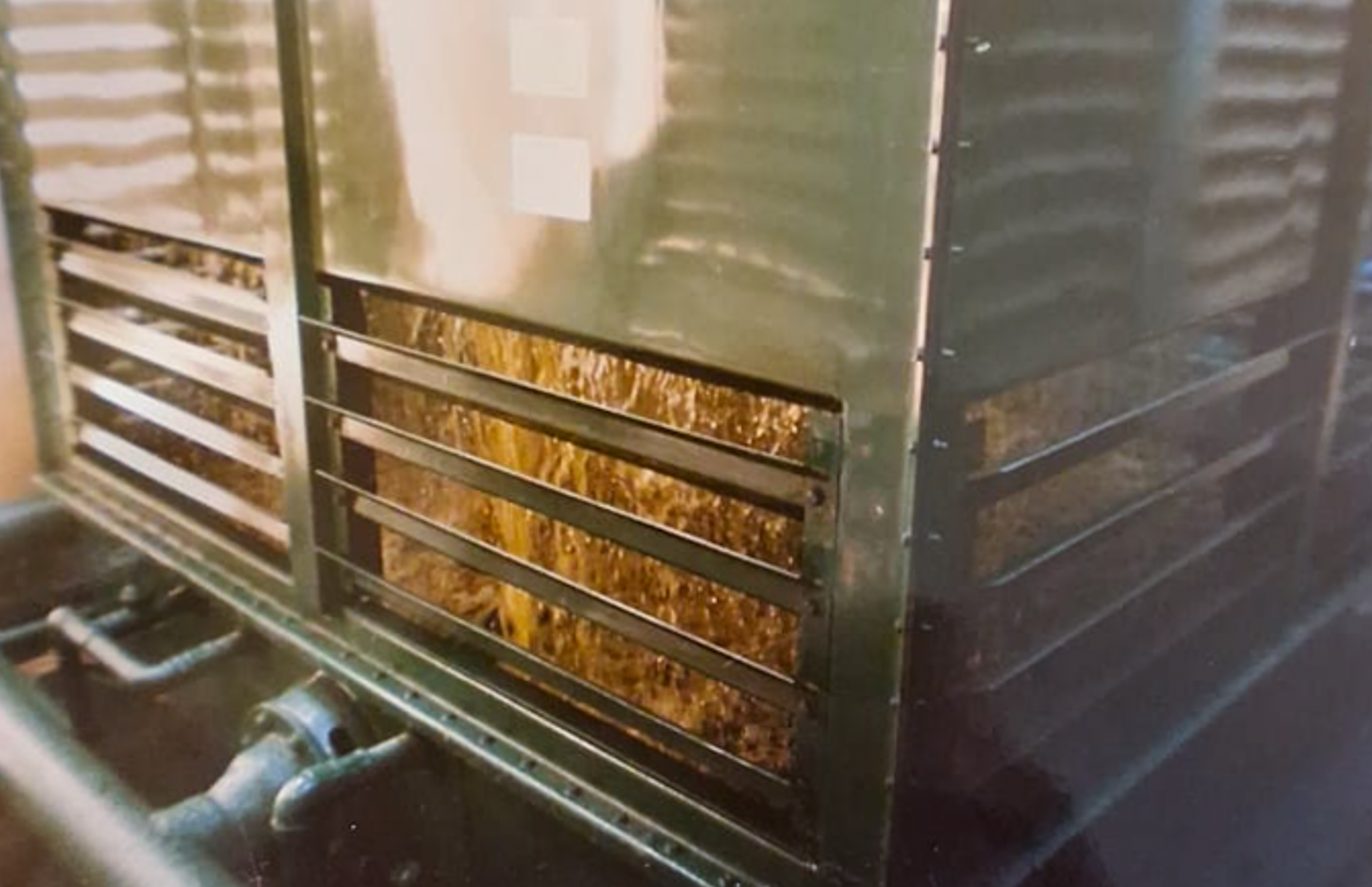 WhatsApp Image 2025-04-25 at 15.11.54.jpg