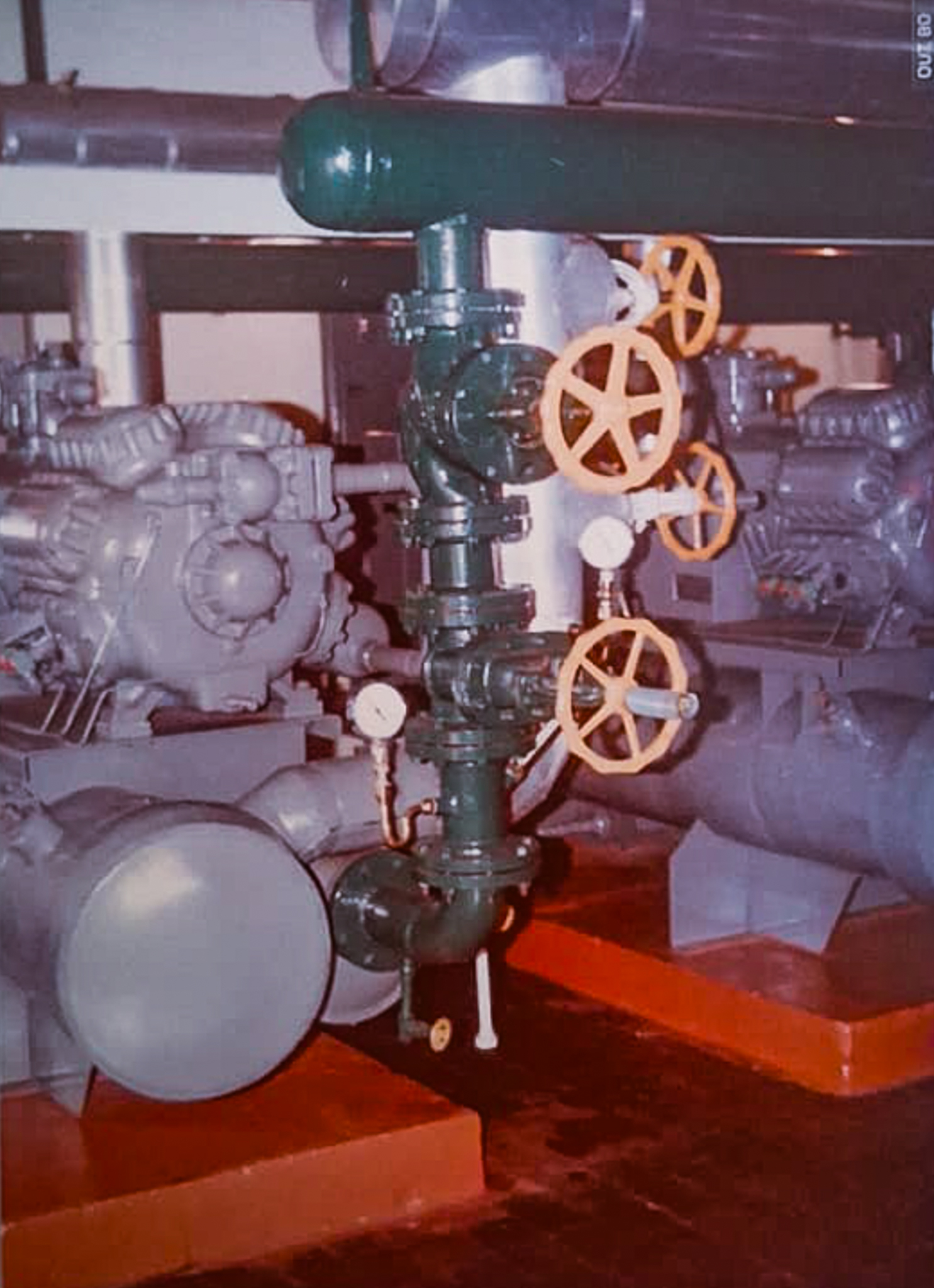 WhatsApp Image 2025-04-25 at 15.26.10.jpg