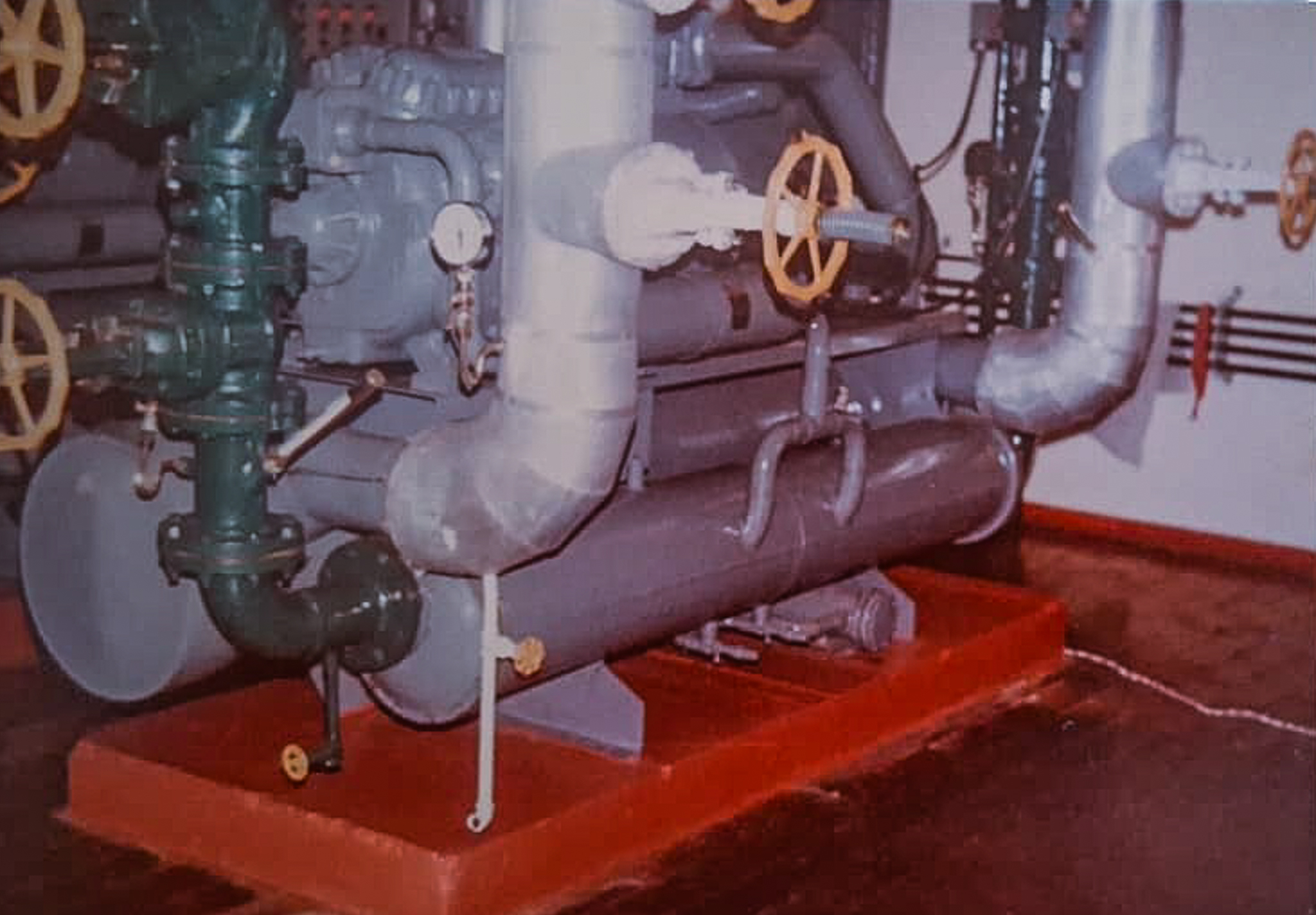 WhatsApp Image 2025-04-25 at 15.25.02.jpg